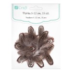 Piórka Bażanta DP Craft 5-12 cm a'15