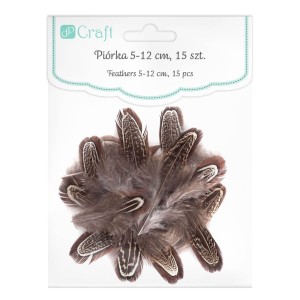 Piórka Bażanta DP Craft 5-12 cm a'15