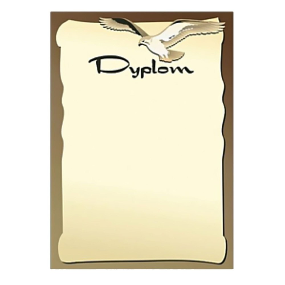 214217 Dyplom Orzeł.jpg