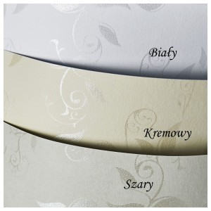 Papier Wizytówkowy Argo 100g/m2 Liana Biały