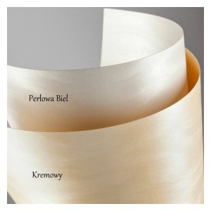 Papier Wizytówkowy Argo 230g/m2 Diuna Perłowa Biel