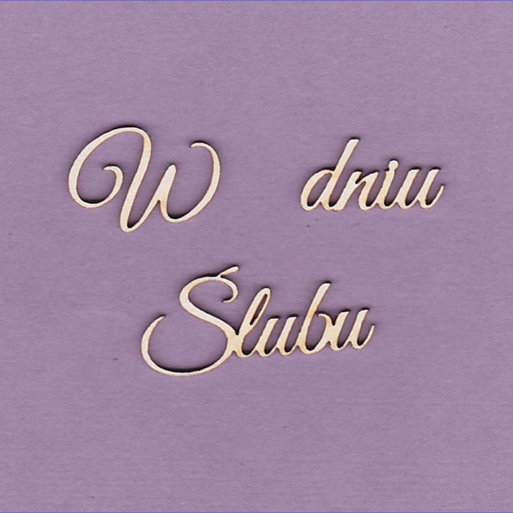 Tekturka Napis - W Dniu Ślubu WYK210x.jpg