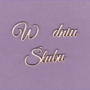 Tekturka Napis - W Dniu Ślubu Crafty Moly a'2