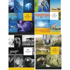 Zeszyt Kratka A5/80 UV Schoolboy Living On Earth