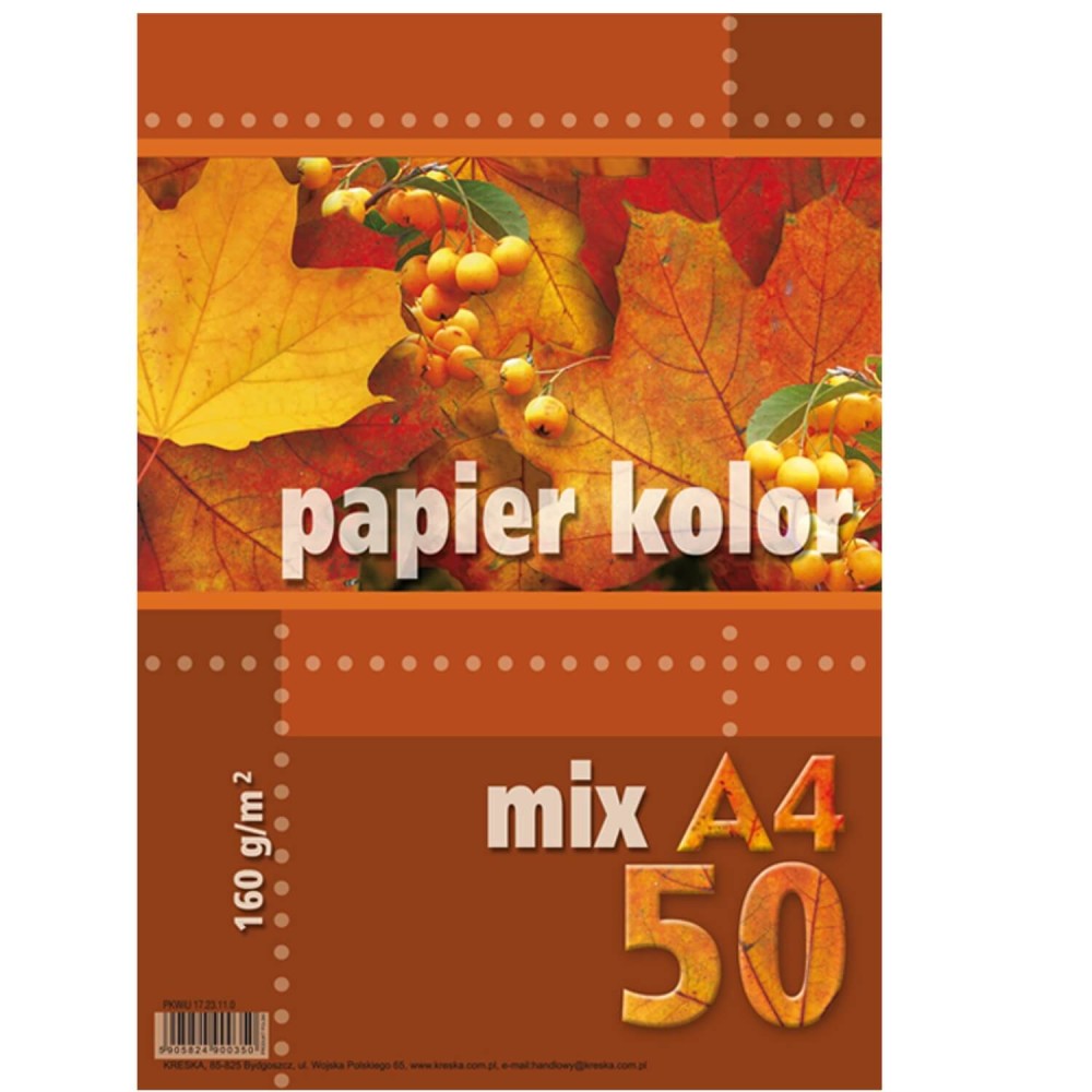 papier a4 mix 160g.jpg