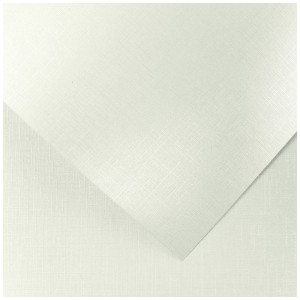 Papier Wizytówkowy Argo 230g/m2 Holland Diamentowa Biel