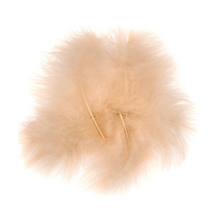 Piórka Indycze Beżowe DP Craft 15 cm a'5