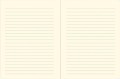 34096_1 Bullet Journal Peter Pauper Midi Słoneczniki.jpg