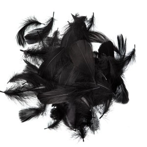 Piórka Czarne DP Craft 10g