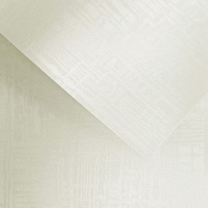 Papier Wizytówkowy Argo 220g/m2 Satyna Biały