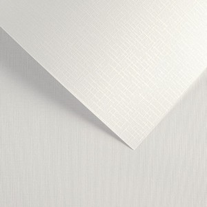 Papier Wizytówkowy Argo 180g/m2 Sukno Biały