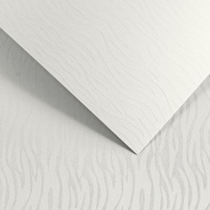 Papier Wizytówkowy Argo 200g/m2 Pacific Biały