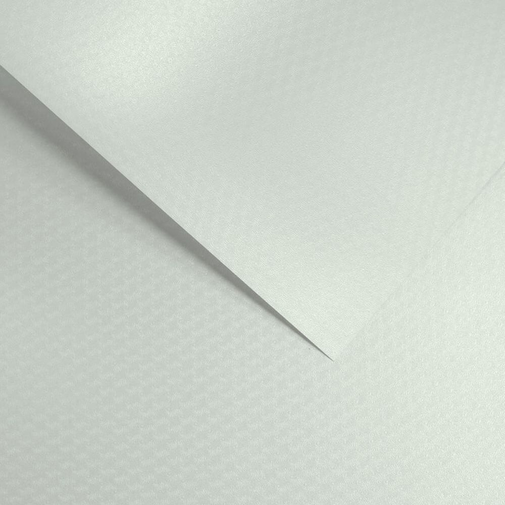 204501 Papier wiz. Argo Chic Diamentowa Biel 220.jpg
