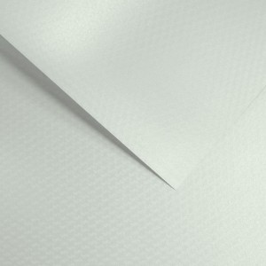 Papier Wizytówkowy Argo 220g/m2 Chic Diamentowa Biel