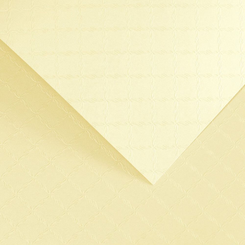 204502 Papier wiz. Argo Chic Kremowy 220.jpg