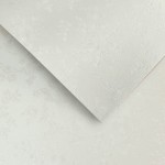 Papier Wizytówkowy Argo 220g/m2 Floral Diamentowa Biel