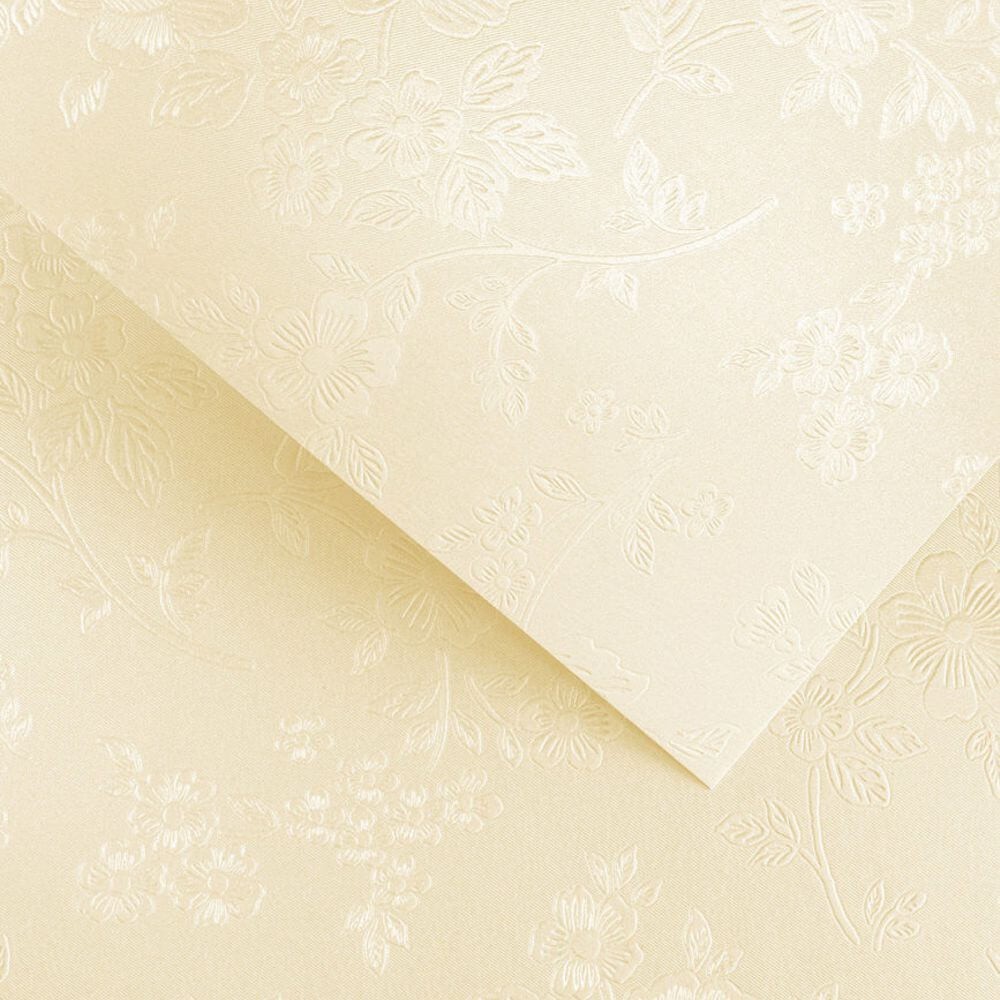 203302 Papier wiz. Argo Floral Kremowy 220.jpg