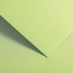 Papier Wizytówkowy Argo 220g/m2 Holland Zielony