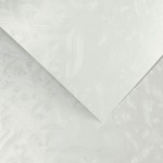 Papier Wizytówkowy Argo 220g/m2 Love Diamentowa Biel