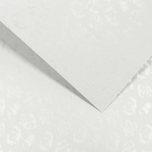 Papier Wizytówkowy Argo 220g/m2 Małe Róże Biały