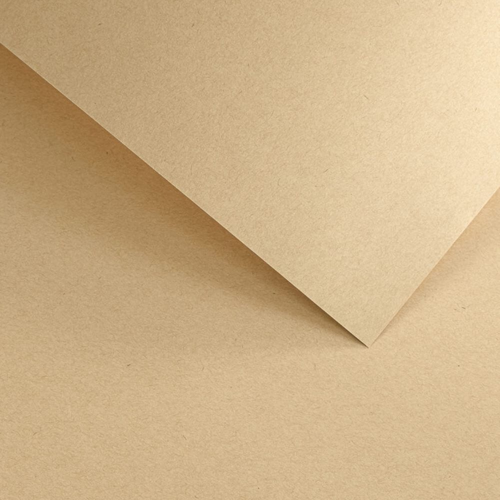 204726 Papier wiz. Argo Nature Ciemnobeżowy 220.jpg