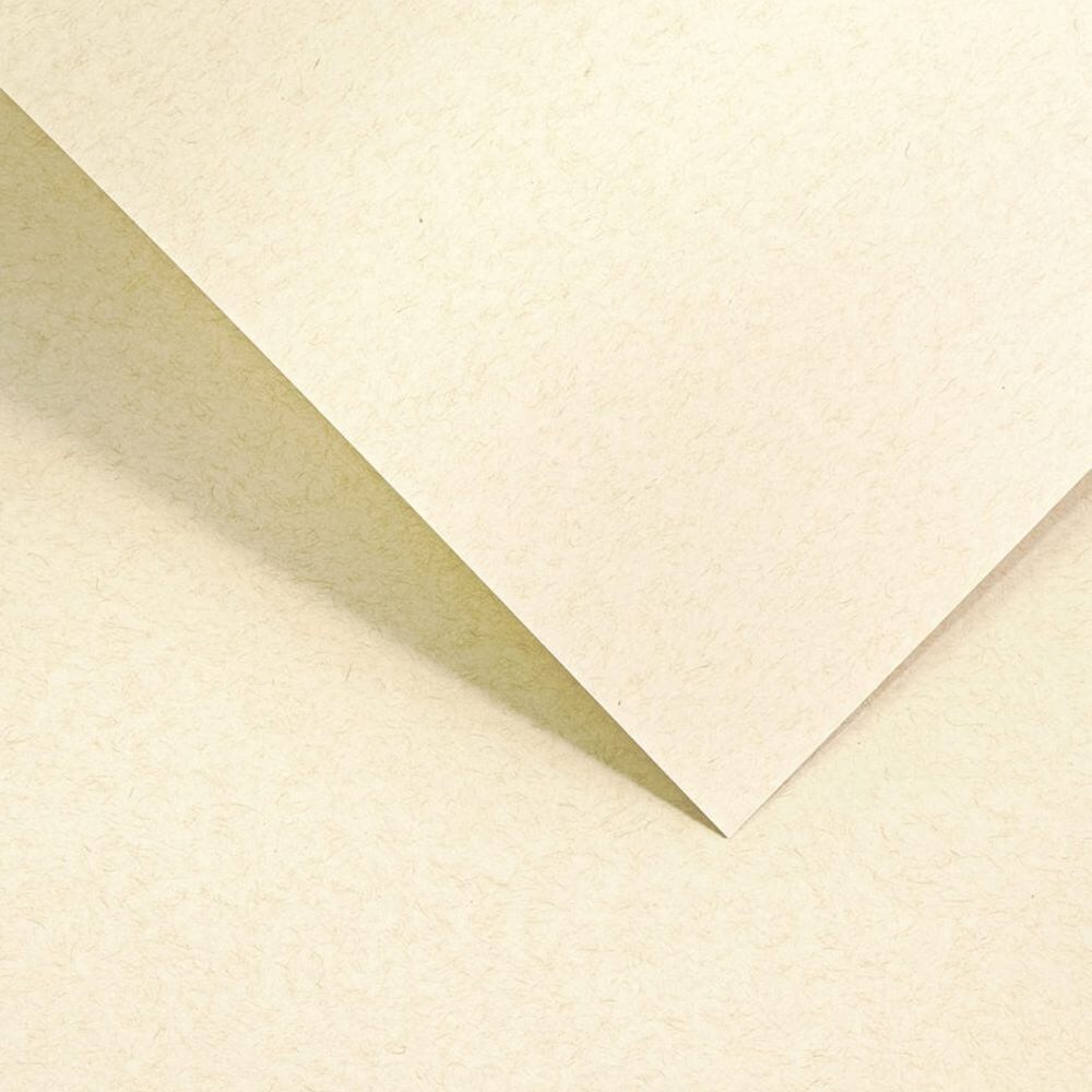 204716 Papier wiz. Argo Nature Jasnobeżowy 220.jpg