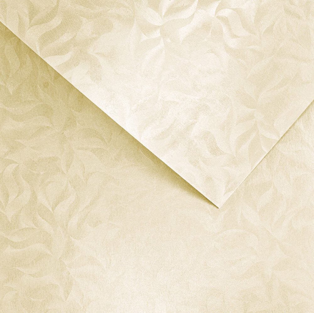 203422 Papier wiz. Argo Olympia Kremowy 220.jpg
