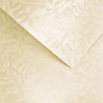 Papier Wizytówkowy Argo 220g/m2 Olympia Kremowy