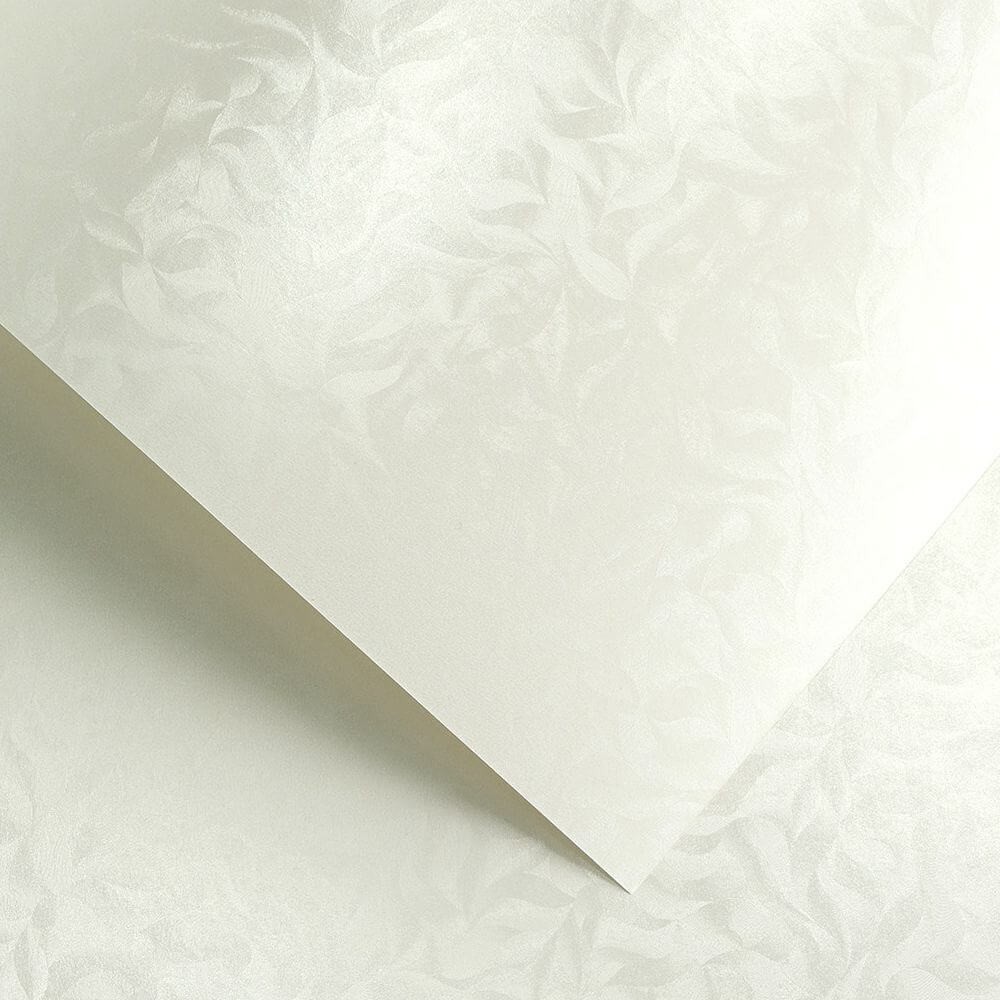 203403 Papier wiz. Argo Olympia Perłowa Biel 220.jpg