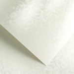Papier Wizytówkowy Argo 220g/m2 Olympia Perłowa Biel