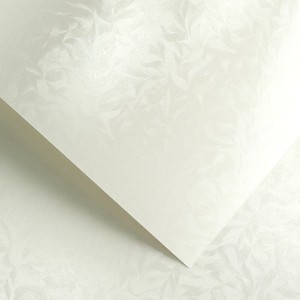 Papier Wizytówkowy Argo 220g/m2 Olympia Perłowa Biel