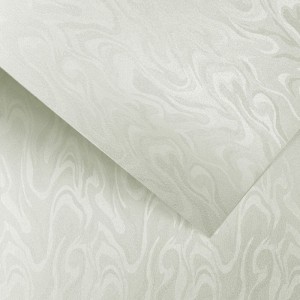 Papier Wizytówkowy Argo 220g/m2 Papirus Biały