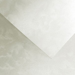 Papier Wizytówkowy Argo 220g/m2 Perła Biały