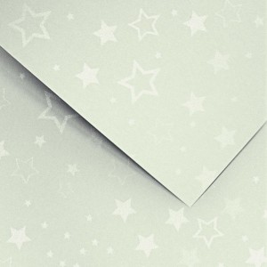 Papier Wizytówkowy Argo 220g/m2 Stars Srebrny
