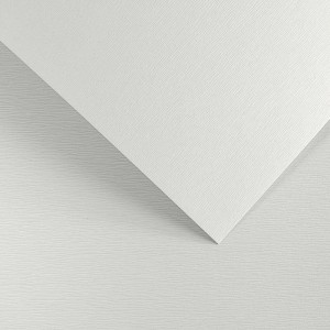 Papier Wizytówkowy Argo 230g/m2 Kora Biały