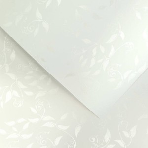 Papier Wizytówkowy Argo 230g/m2 Liana Biały