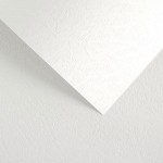 Papier Wizytówkowy Argo 230g/m2 Skóra Biały
