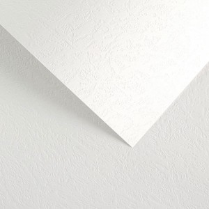 Papier Wizytówkowy Argo 230g/m2 Skóra Biały