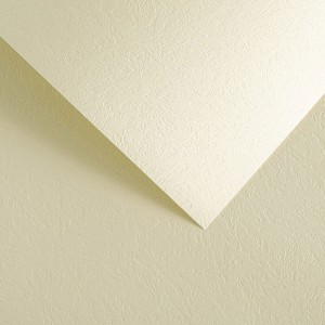 Papier Wizytówkowy Argo 230g/m2 Skóra Kremowy
