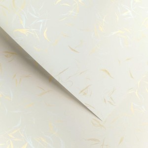 Papier Wizytówkowy Argo 230g/m2 Wiatr Biały