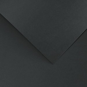 Papier Wizytówkowy Argo 250g/m2 Floryda Czarny