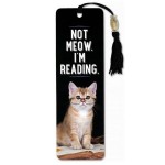 Zakładka Peter Pauper Press Zajęty Kot