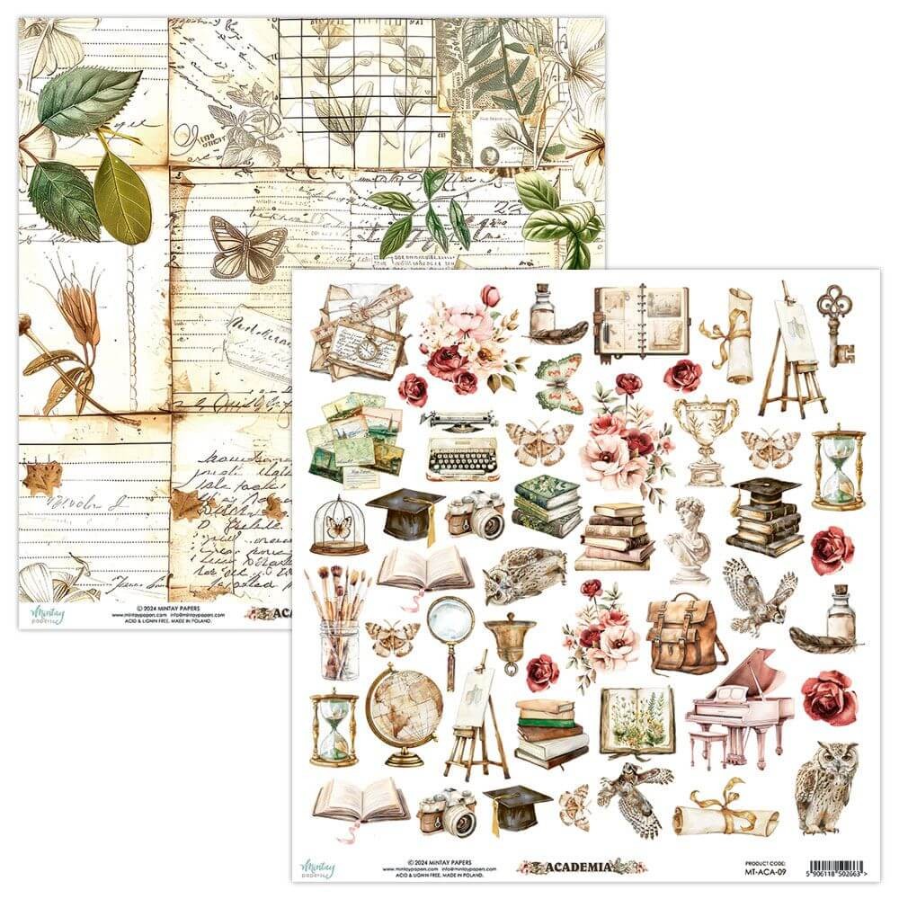 MT-ACA-09 Papier 12x12 Mintay Academia Elements.jpg