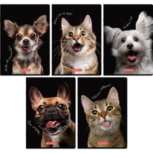 Zeszyt Kratka A5/60 Herlitz Crazy Animal