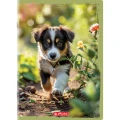 400197964_1 Zeszyt Kratka A432 Herlitz Animals.jpg