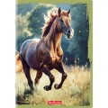 400197964_2 Zeszyt Kratka A432 Herlitz Animals.jpg