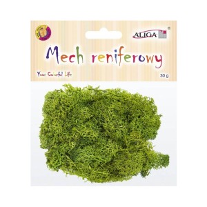 Mech Chrobotek Zielony Aliga