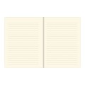 326690_1 Bullet Journal Peter Pauper Mini Koty.jpg