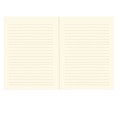 345264_3 Bullet Journal Peter Pauper Midi Catdalf.jpg