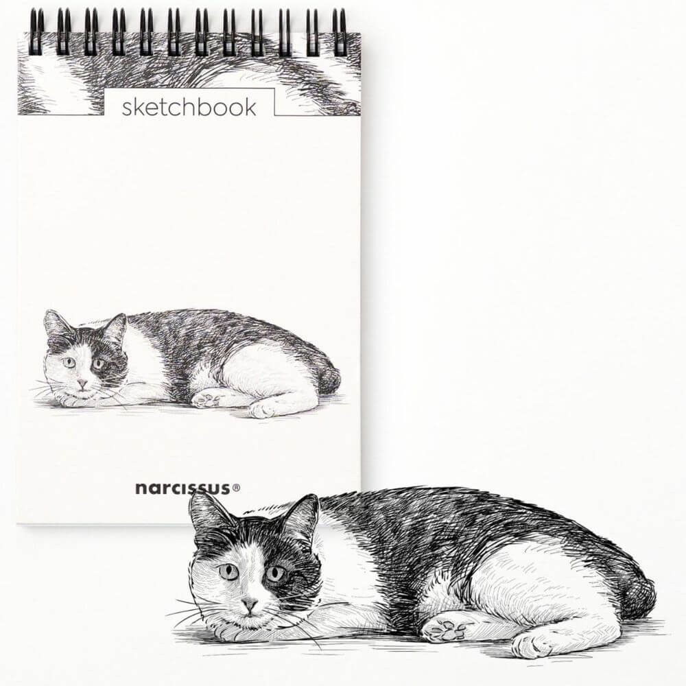 60749 Kołoszkicownik Pion A6 Narcissus kot.jpg